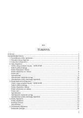 Kompiuterizavimo informacinės sistemos projektas 2 puslapis