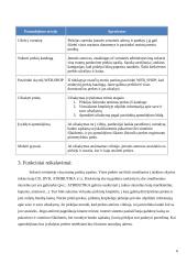 Kompiuterizavimo informacinės sistemos projektas 6 puslapis