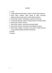 Prekės ženklo "Audimas" analizė 2 puslapis