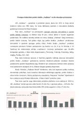 Prekės ženklo "Audimas" analizė 5 puslapis