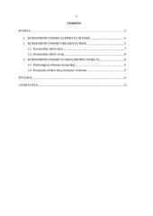 Ar pasiteisina komandinis darbas? 2 puslapis