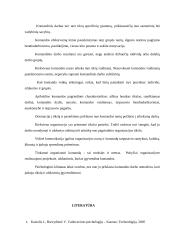 Ar pasiteisina komandinis darbas? 11 puslapis