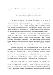 Ar pasiteisina komandinis darbas? 5 puslapis