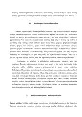 Ar pasiteisina komandinis darbas? 9 puslapis