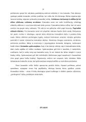 Ar pasiteisina komandinis darbas? 10 puslapis