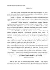 Komunikacija ir etika įmonėje 4 puslapis