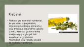 Riebalai yra esminiai nutrientai 2 puslapis