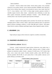 Statybinės medžiagos. Laboratorinis darbas 5 puslapis