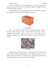 Statybinės medžiagos. Laboratorinis darbas 8 puslapis