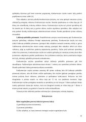 Konkurenciją ribojantys veiksniai ir jų ypatumai: praktikos analizė 16 puslapis
