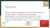 Kaip rengdavosi romėnai? 5 puslapis