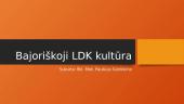 Bajoriškoji LDK kultūra