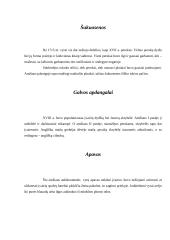 Vyriško ir moteriško kostiumų istorija 3 puslapis