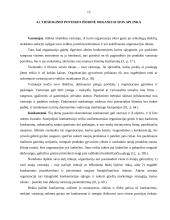 Organizacijos vidinė ir išorinė valdymo sistemos aplinka 15 puslapis
