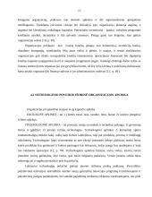 Organizacijos vidinė ir išorinė valdymo sistemos aplinka 17 puslapis