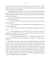 Organizacijos vidinė ir išorinė valdymo sistemos aplinka 18 puslapis