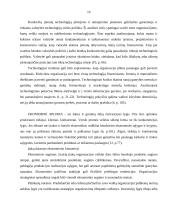 Organizacijos vidinė ir išorinė valdymo sistemos aplinka 19 puslapis