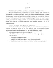 Organizacijos vidinė ir išorinė valdymo sistemos aplinka 3 puslapis