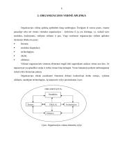 Organizacijos vidinė ir išorinė valdymo sistemos aplinka 6 puslapis
