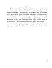 Lietuvių tradiciniai valgiai 2 puslapis