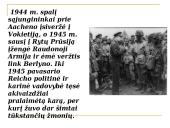 Pristatymas apie Antrąjį pasaulinį karą 9 puslapis