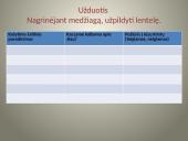 Ką istorijos mokslas žino apie Jėzų? 8 puslapis