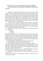 Šeimos svarba vaiko asmenybės tapsmui 3 puslapis