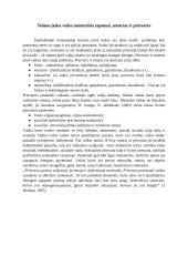 Šeimos svarba vaiko asmenybės tapsmui 5 puslapis