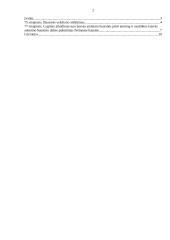 Lietuvos Respublikos baudžiamojo kodekso 75 ir 77 straipsnių analizė 2 puslapis