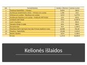 Kelionės planas į Prancūziją 11 puslapis