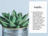 Kelionės planas į Prancūziją 6 puslapis