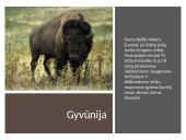 Kelionės planas į Prancūziją 7 puslapis