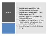 Kelionės planas į Prancūziją 10 puslapis