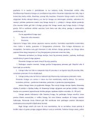 Lizingas ir išperkamoji nuoma 5 puslapis