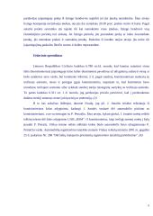 Lizingas ir išperkamoji nuoma 6 puslapis