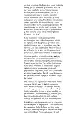 "Vakarų fronte nieko naujo" analizė 2 puslapis