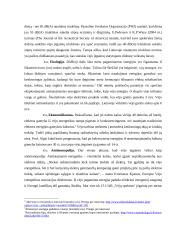 Logikos argumentuotas tekstas apie vėjo energiją 2 puslapis