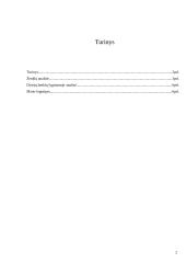 Logotipų analizė ir lyginimas 2 puslapis