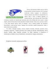 Logotipų analizė ir lyginimas 4 puslapis