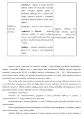 Daržovių perdirbimas ir konservai 2 puslapis