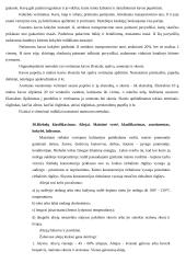 Daržovių perdirbimas ir konservai 11 puslapis