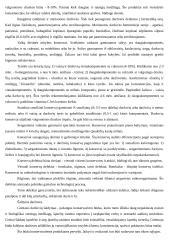 Daržovių perdirbimas ir konservai 4 puslapis