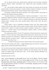 Daržovių perdirbimas ir konservai 6 puslapis