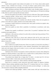 Daržovių perdirbimas ir konservai 10 puslapis