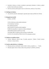 Matematikos pamokų išplėstiniai planai 11 puslapis