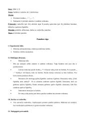 Matematikos pamokų išplėstiniai planai 12 puslapis