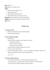 Matematikos pamokų išplėstiniai planai 4 puslapis
