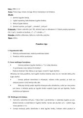 Matematikos pamokų išplėstiniai planai 6 puslapis