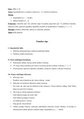 Matematikos pamokų išplėstiniai planai 10 puslapis