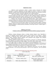 Medienotyra 5 puslapis